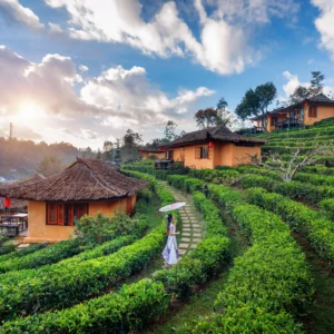 Darjeeling Dreamscape – Queen of Hills 3N/4D